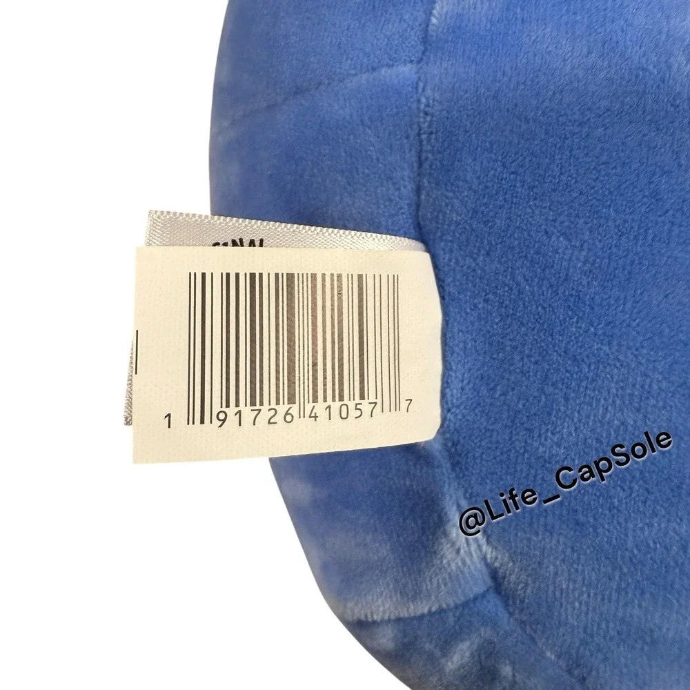 New Squishmallows Disney Goofy 10